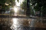 regen20070508_01.jpg